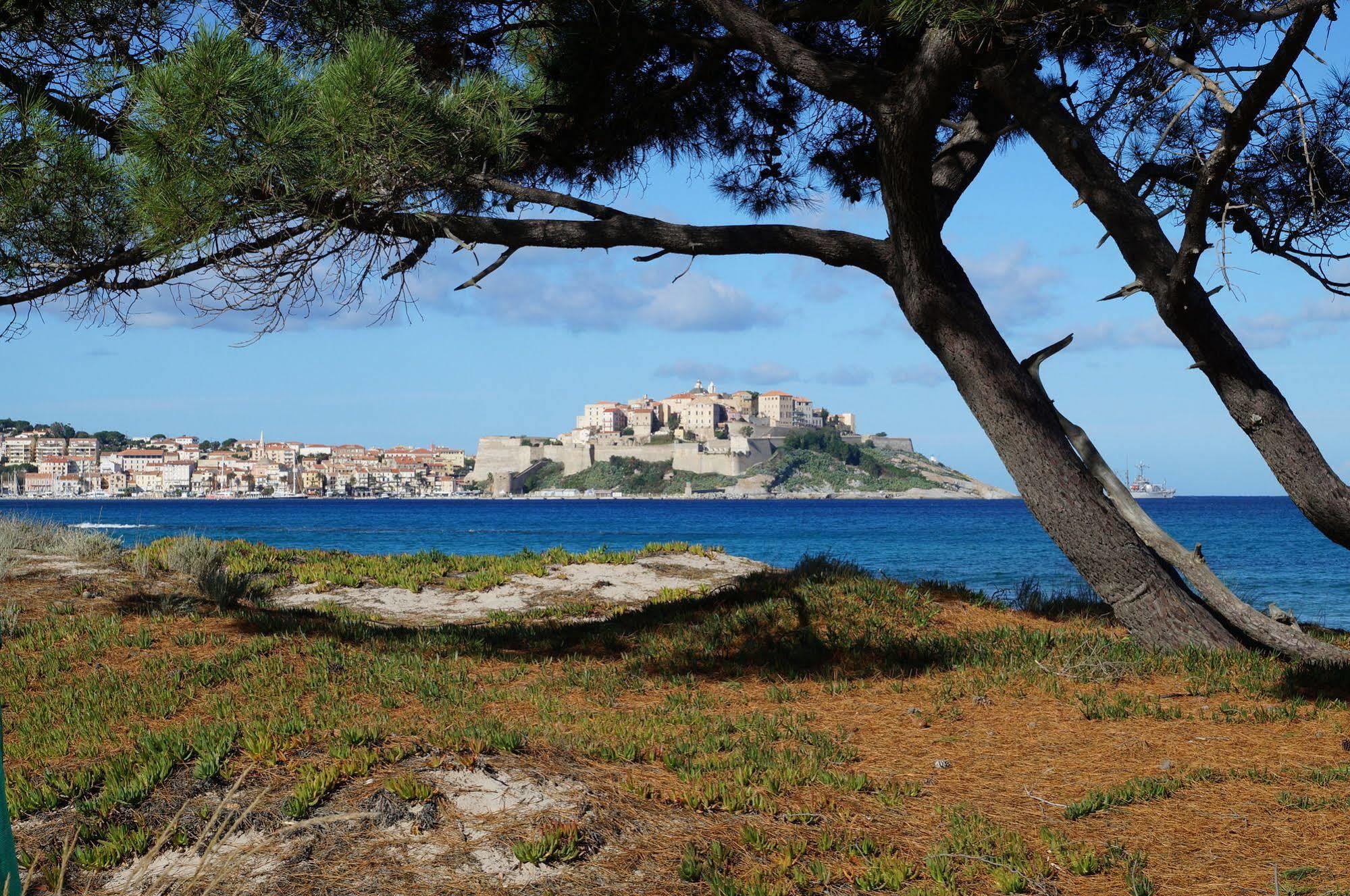 Camping International Calvi  Exterior foto