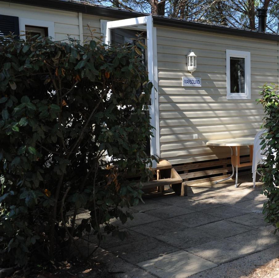 Camping International Calvi  Exterior foto